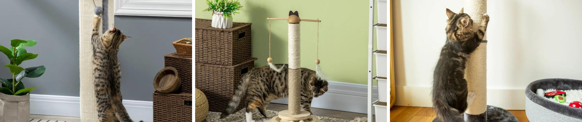 Cat Scratchers & Scratching Posts