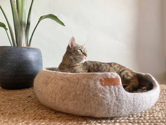 Wool Nest Pet Bed: A Cozy Haven for Your Cat